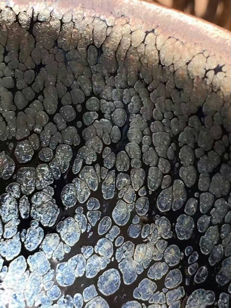 mmexport1472549104094