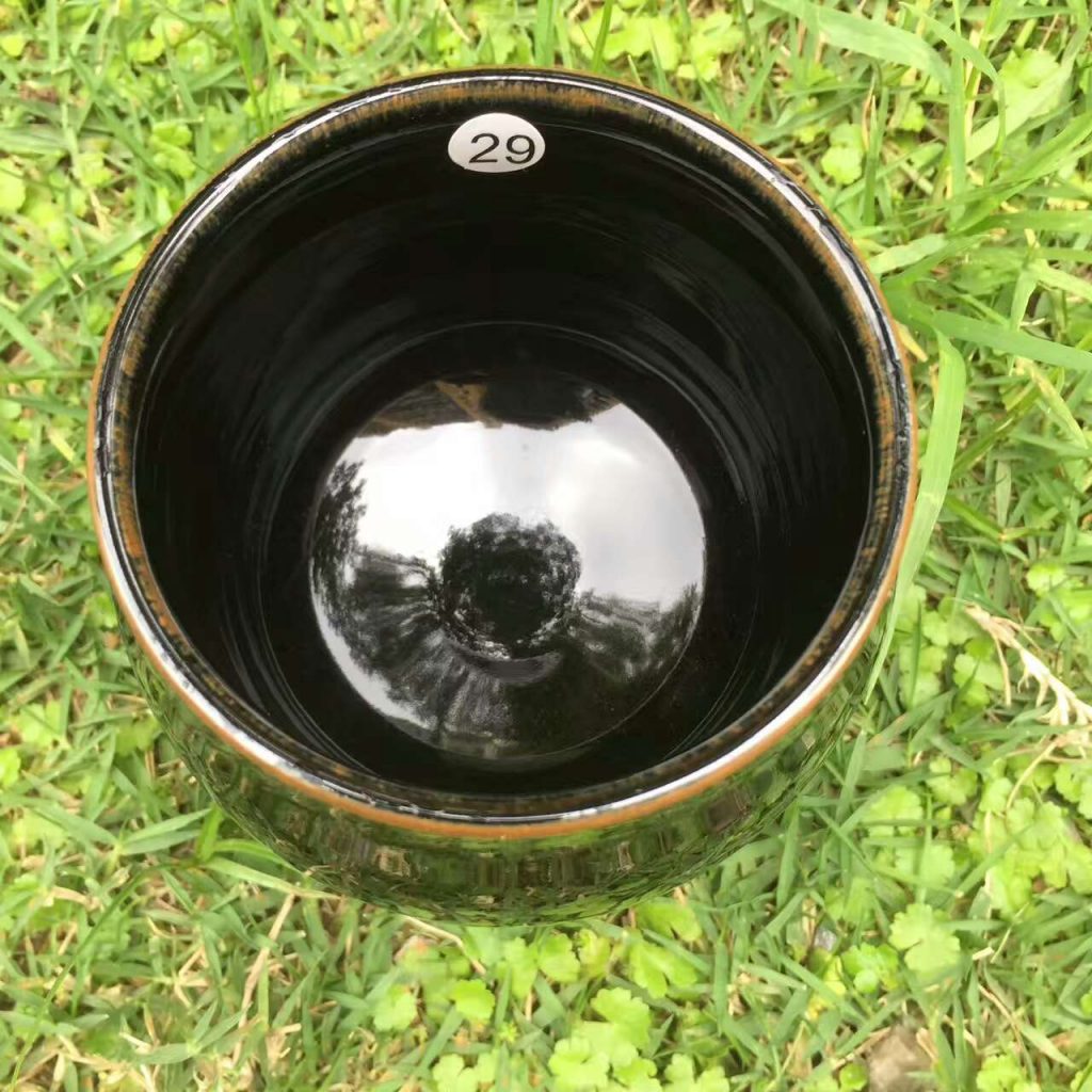 mmexport1493787407477