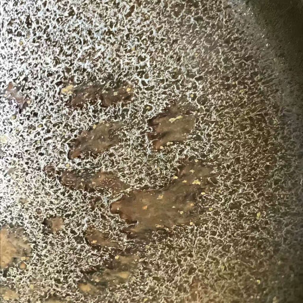 mmexport1497358403790