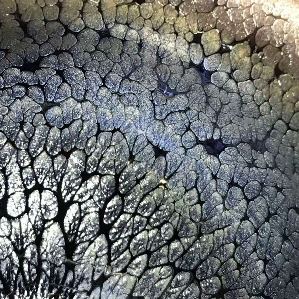 mmexport1497767820106