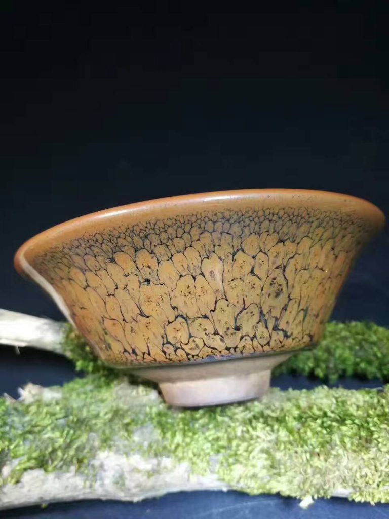 mmexport1498637395662