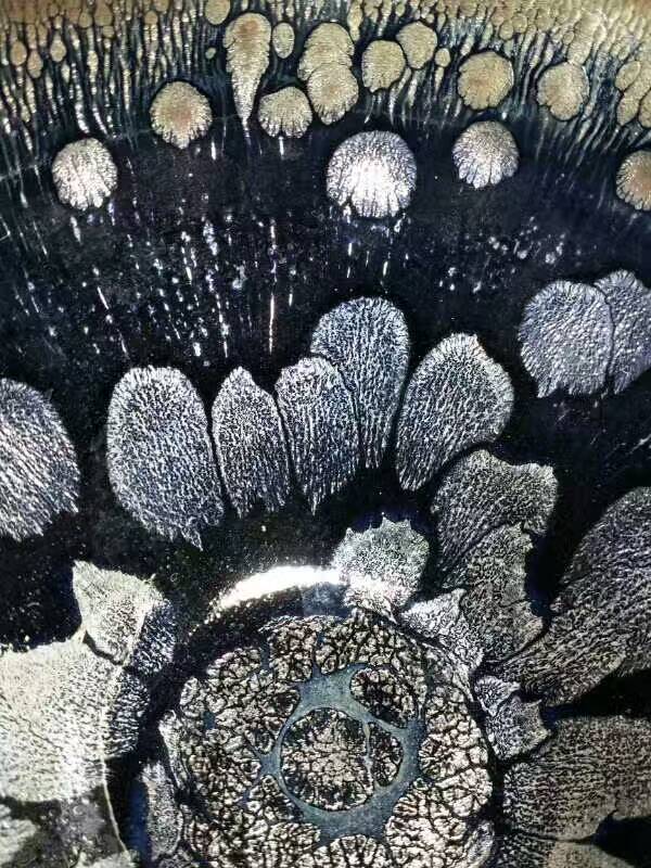 mmexport1500111221225