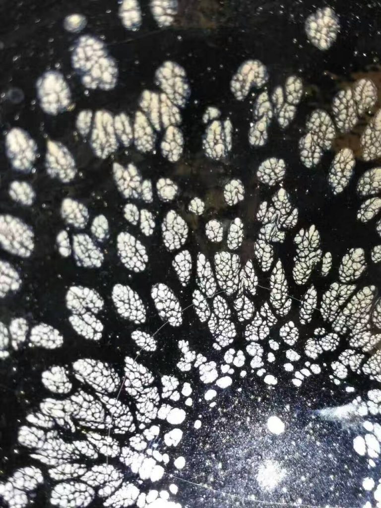 mmexport1500888294335