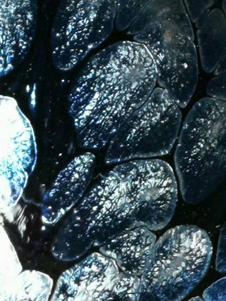 mmexport1500969853458