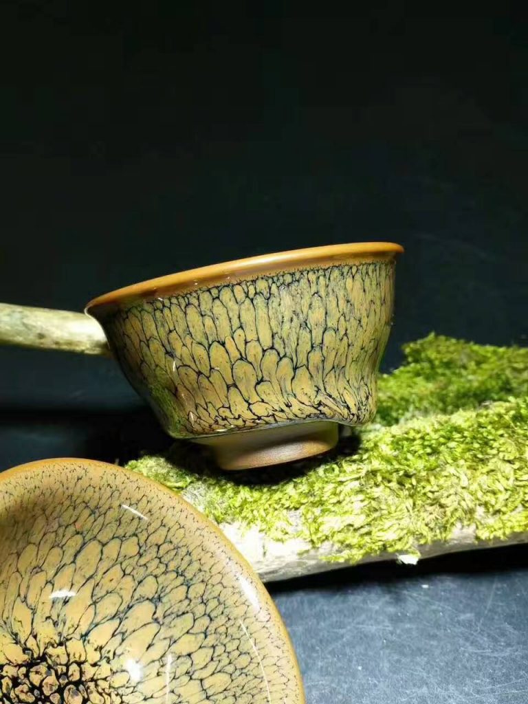 陳大鵬黃鷓鴣：口6.8高3.8