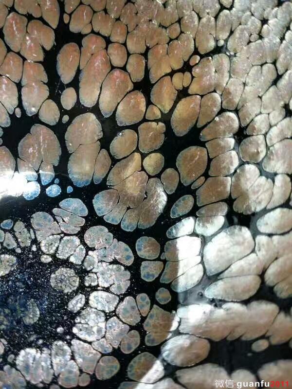 mmexport1502785396761