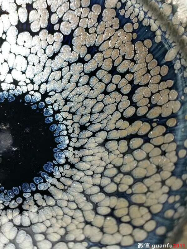 mmexport1504762122317