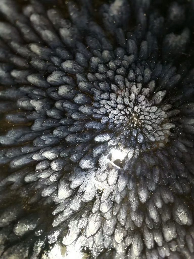 mmexport1505813484209