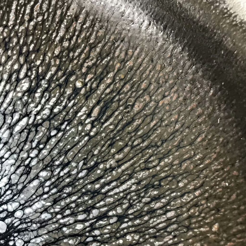 孫建興-國家級大師，虹彩兔毫，口徑8.9高4.8