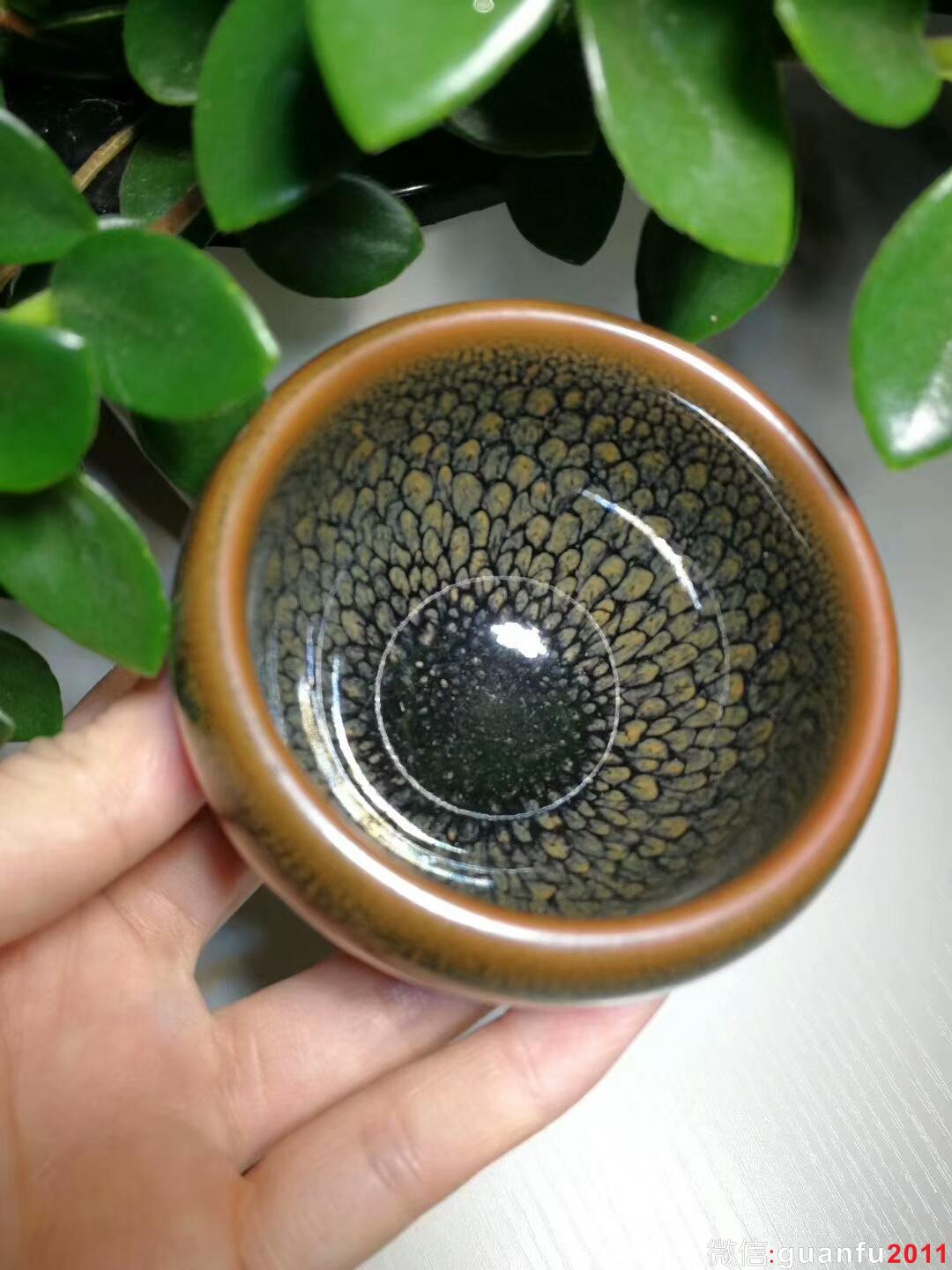 mmexport1509025908152