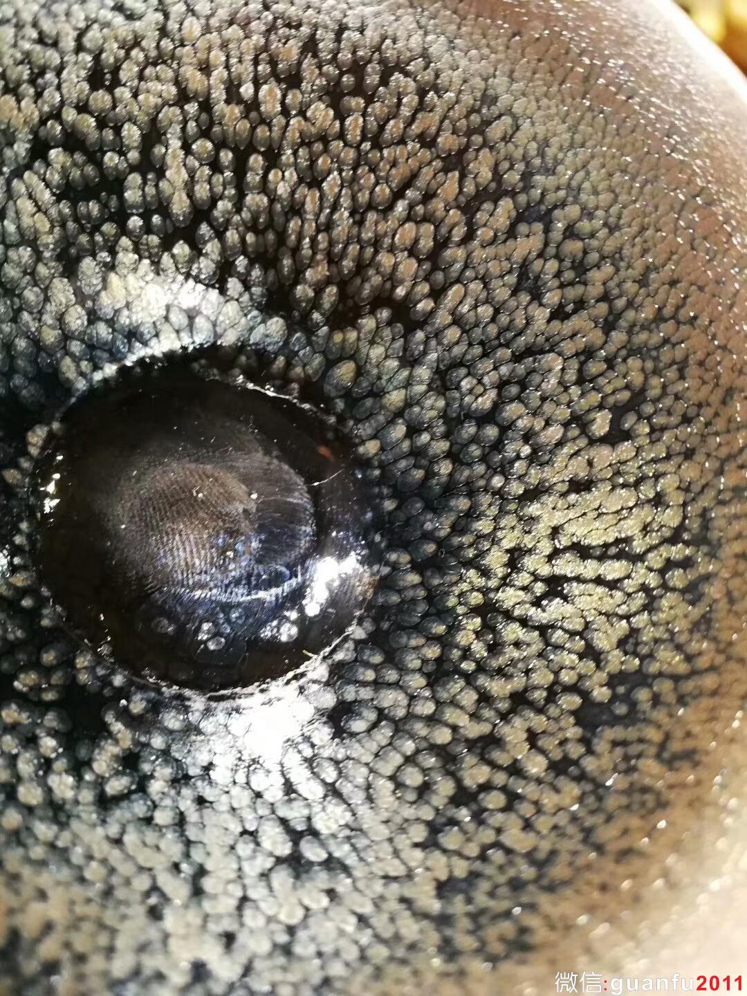 mmexport1509368588038