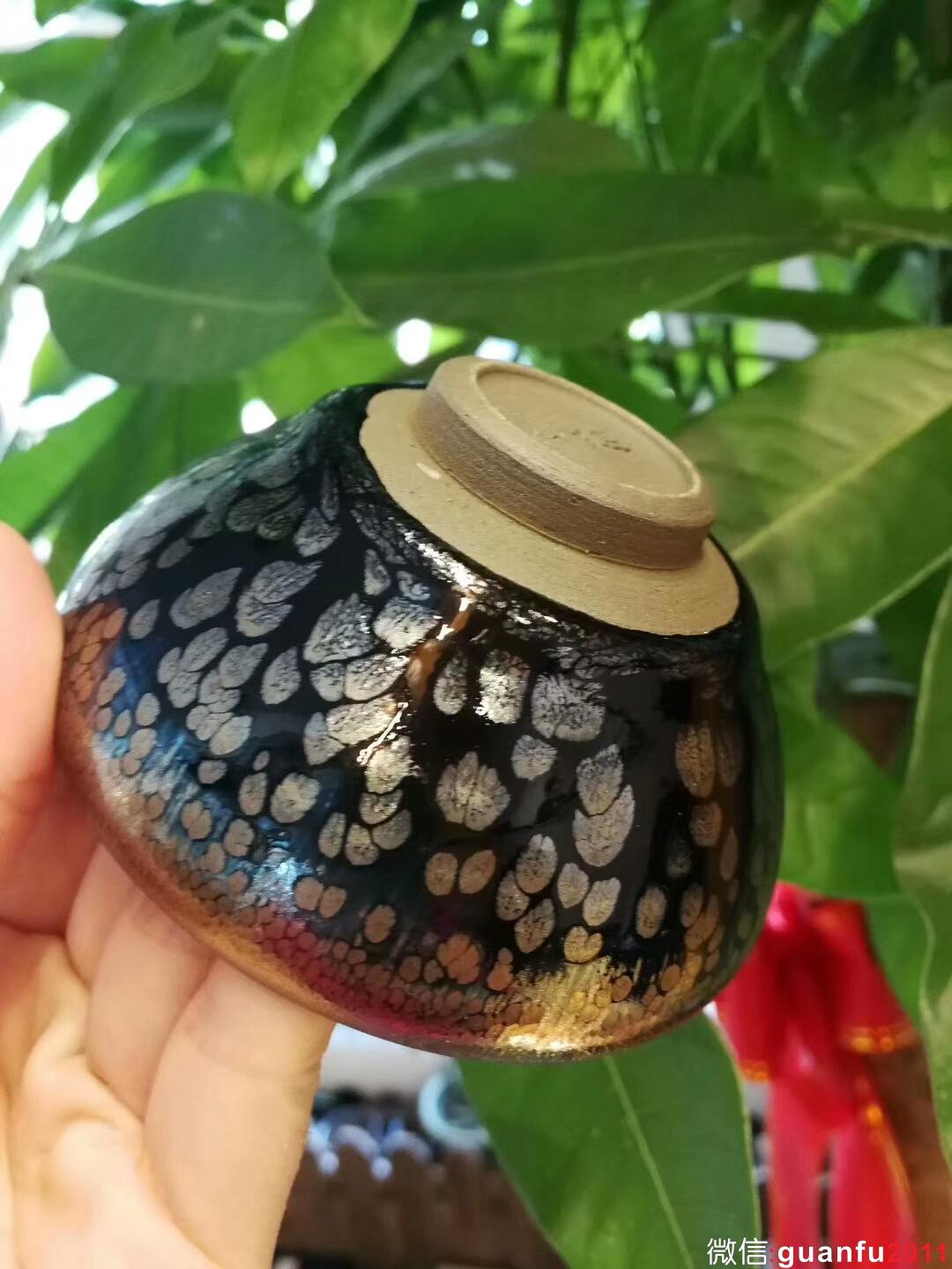 mmexport1509779641542