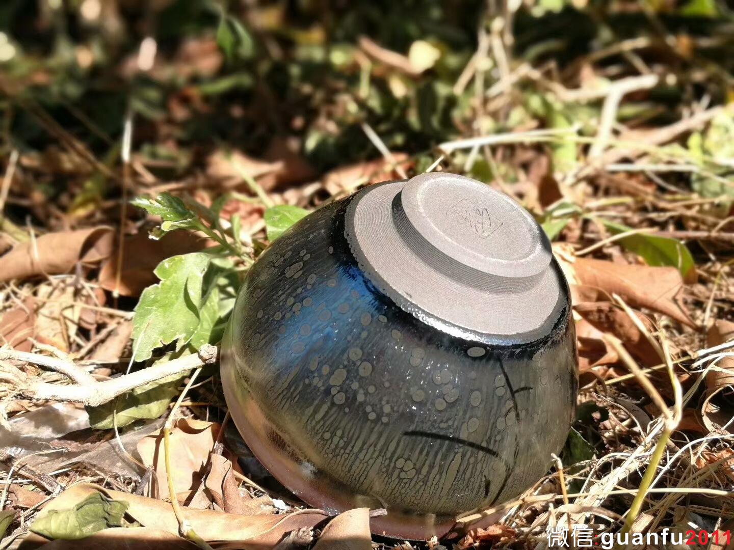 mmexport1509965667740