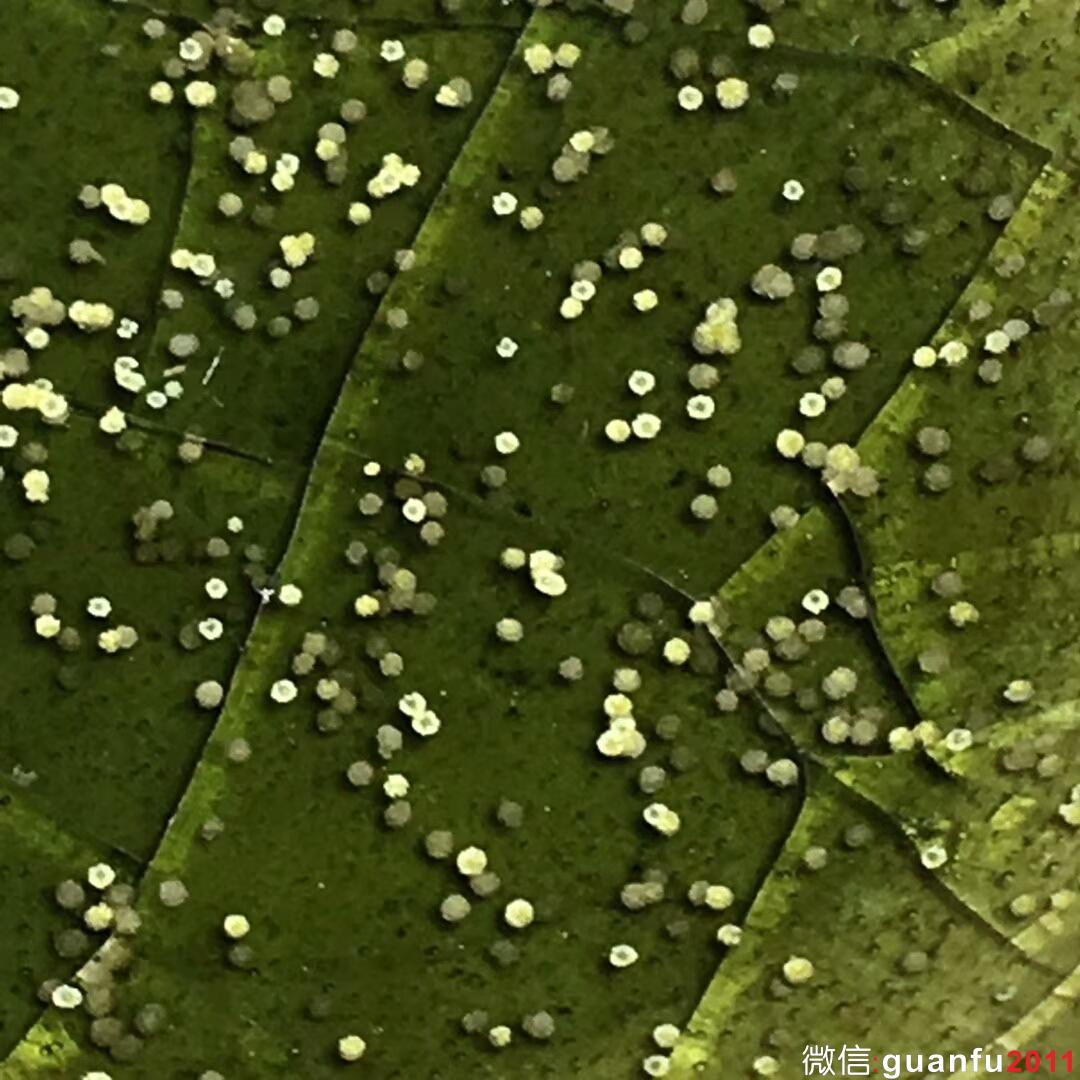 mmexport1510654598213