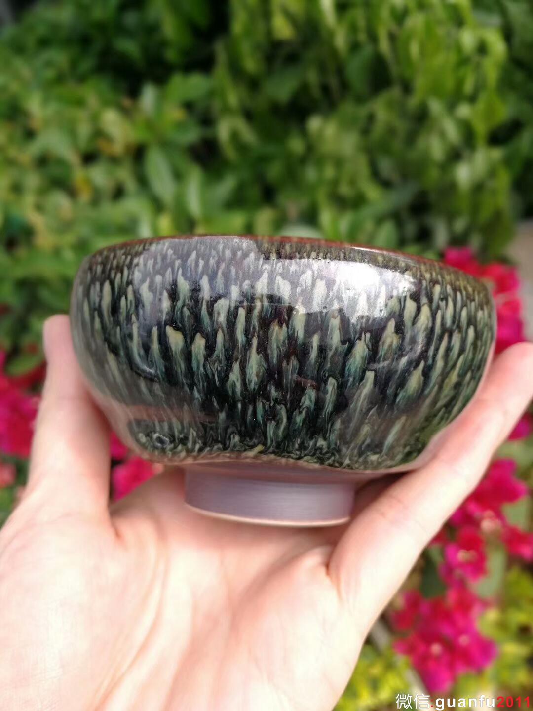 mmexport1510824848952