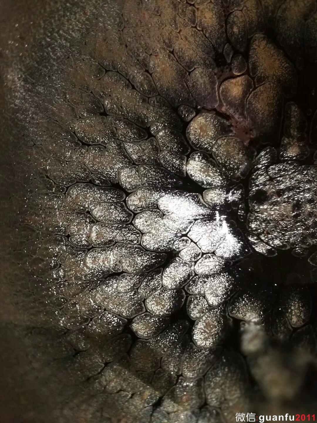 mmexport1511002211124