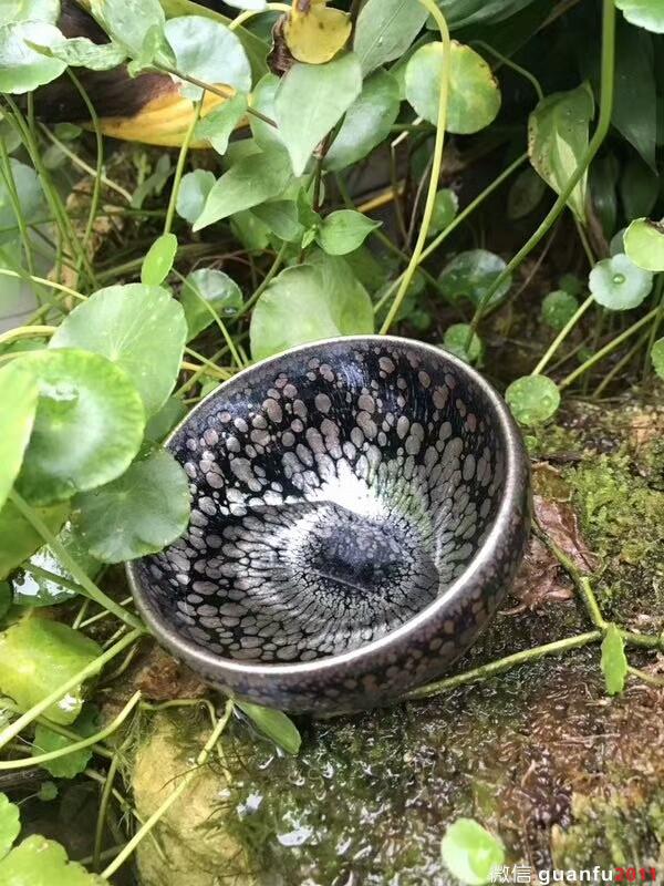 mmexport1511003748944