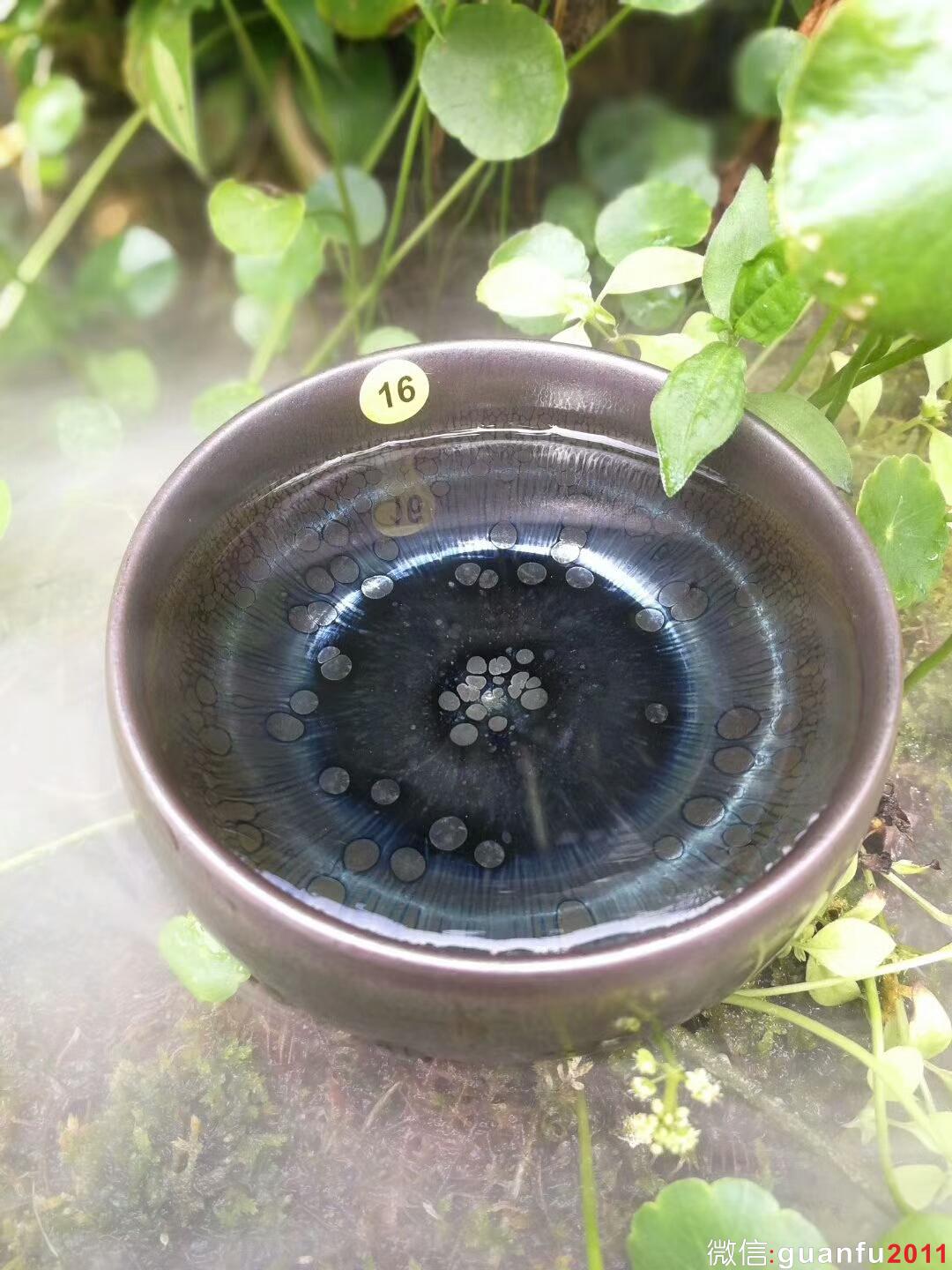 mmexport1511004581725