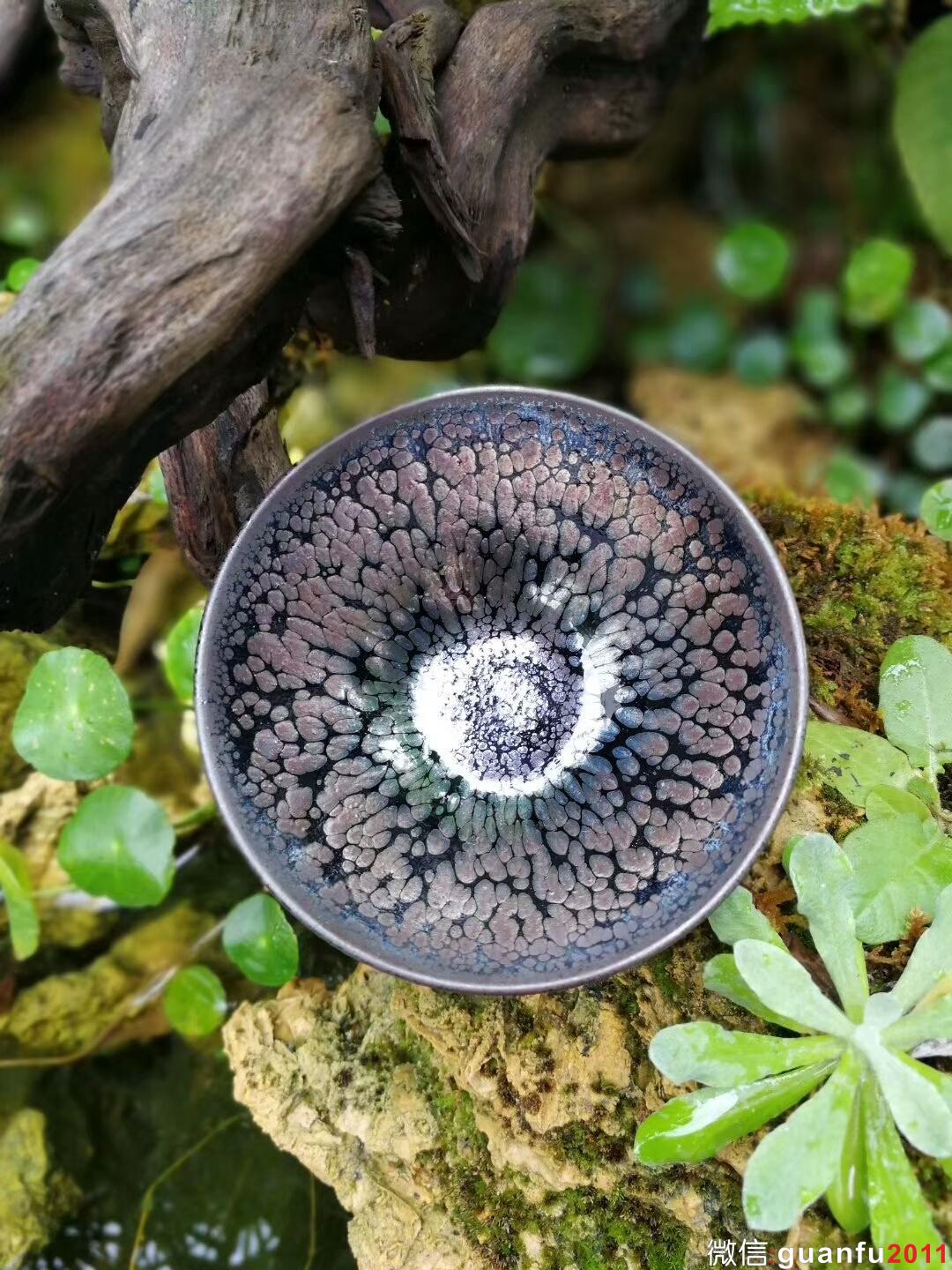 mmexport1511787352206