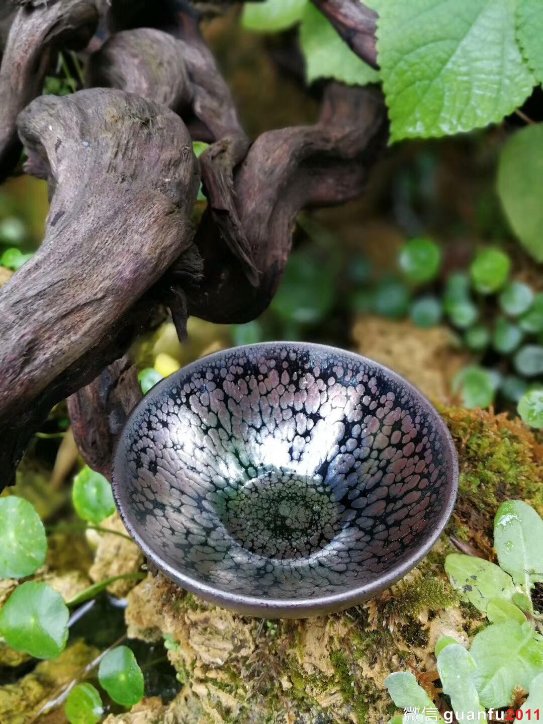 mmexport1511787354621