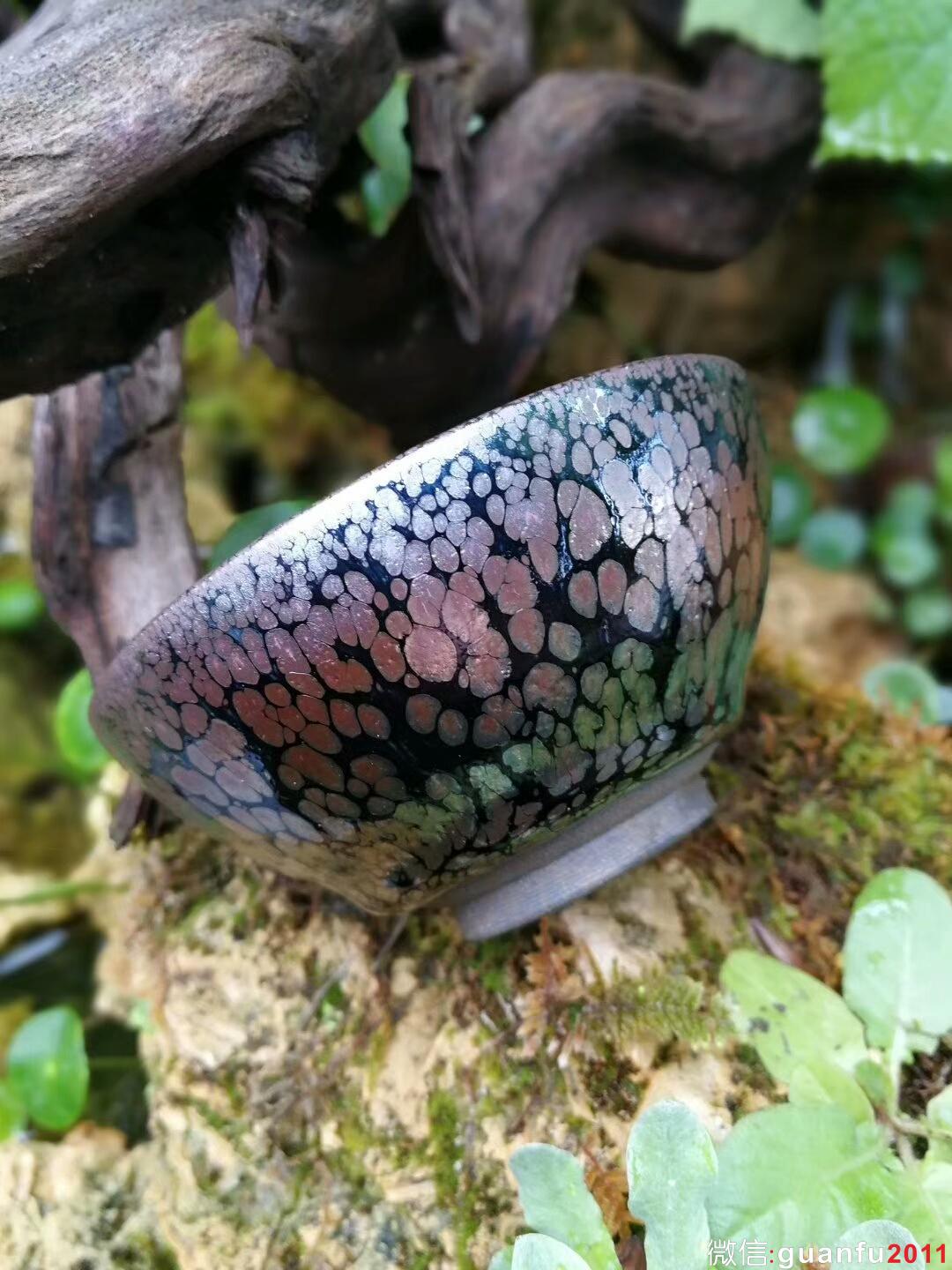 mmexport1511787356718