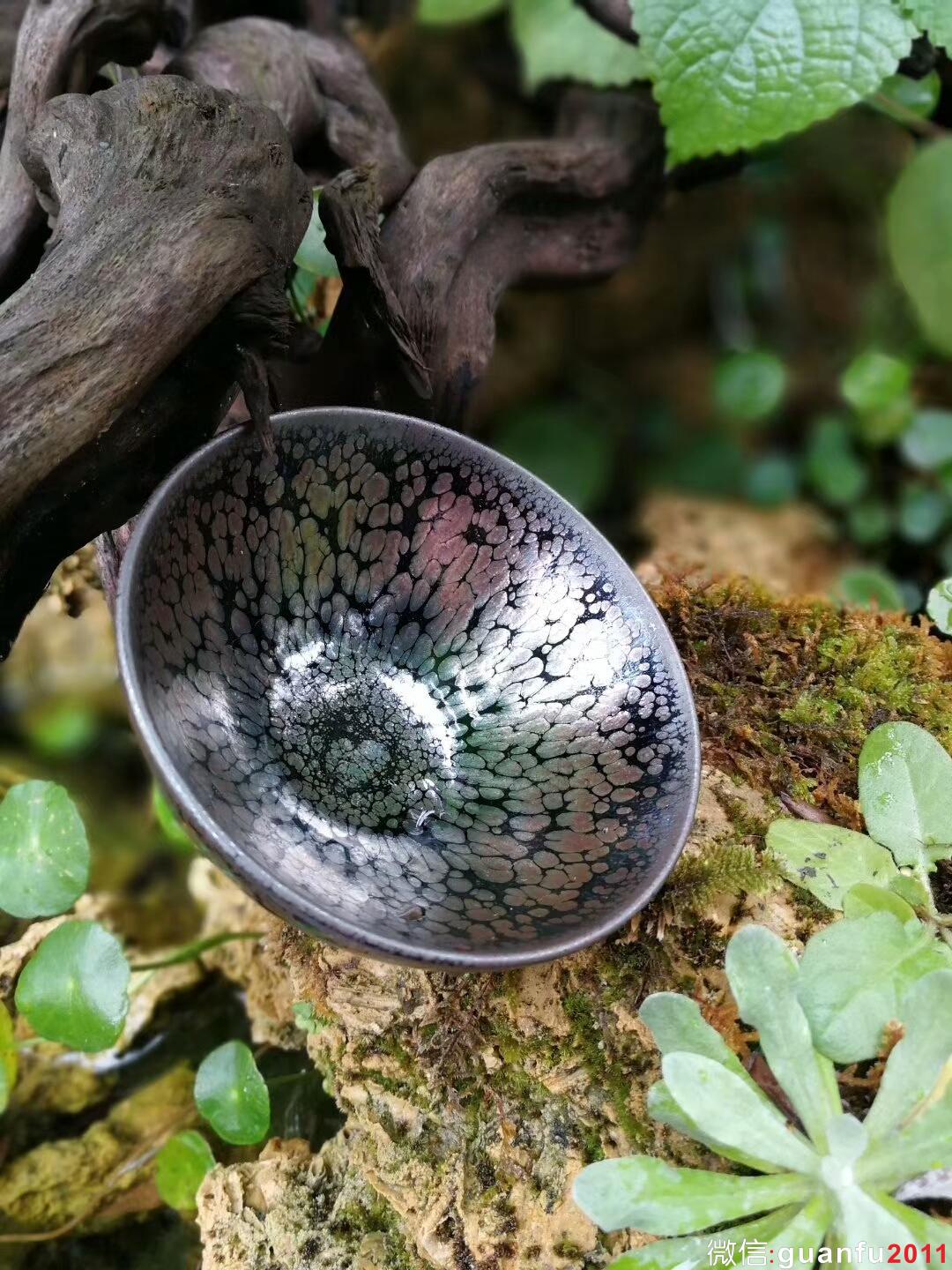 mmexport1511787359062