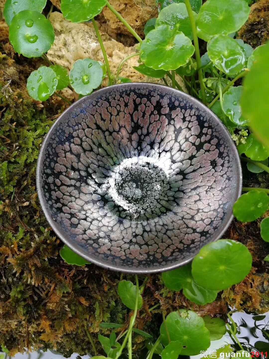 mmexport1511787362030