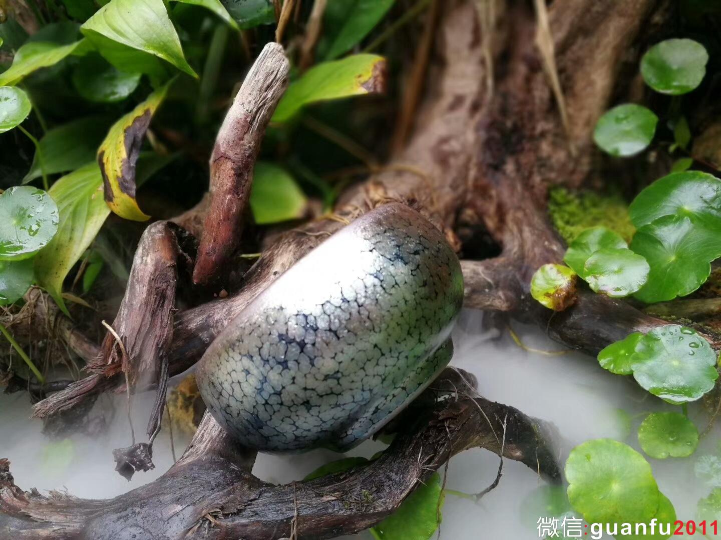 mmexport1511787480280