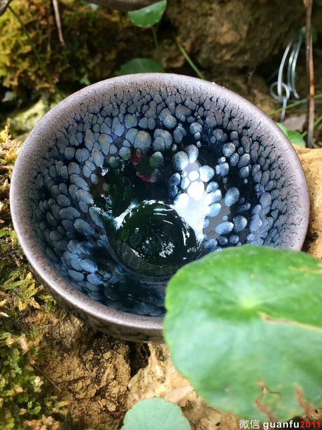 mmexport1512029986651