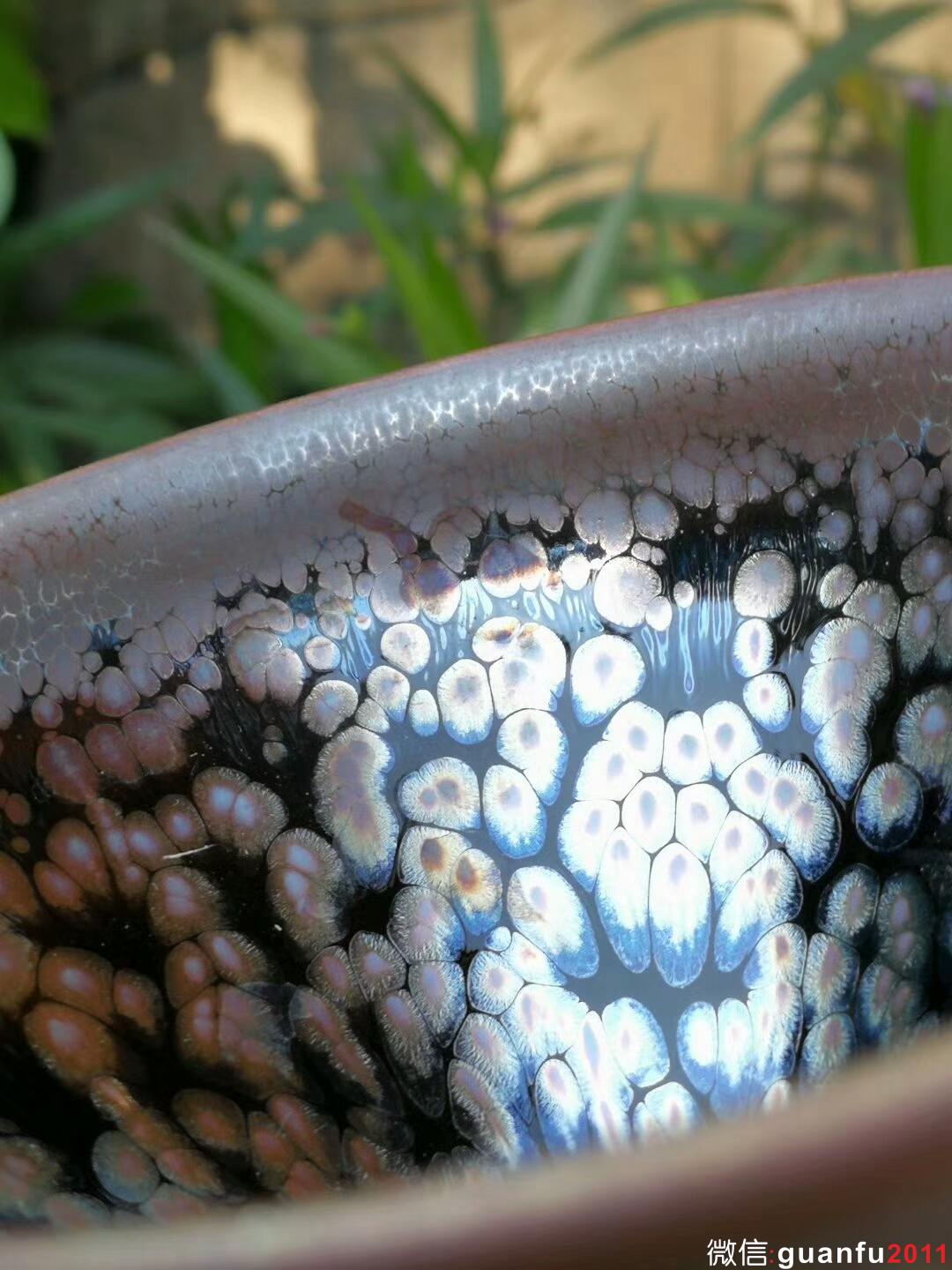 mmexport1512814221072