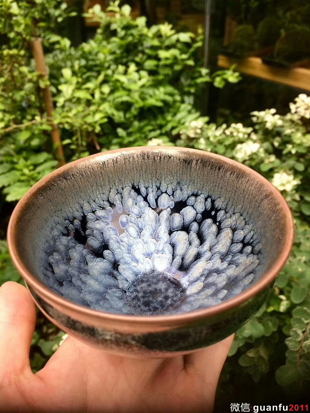 mmexport1513073695011