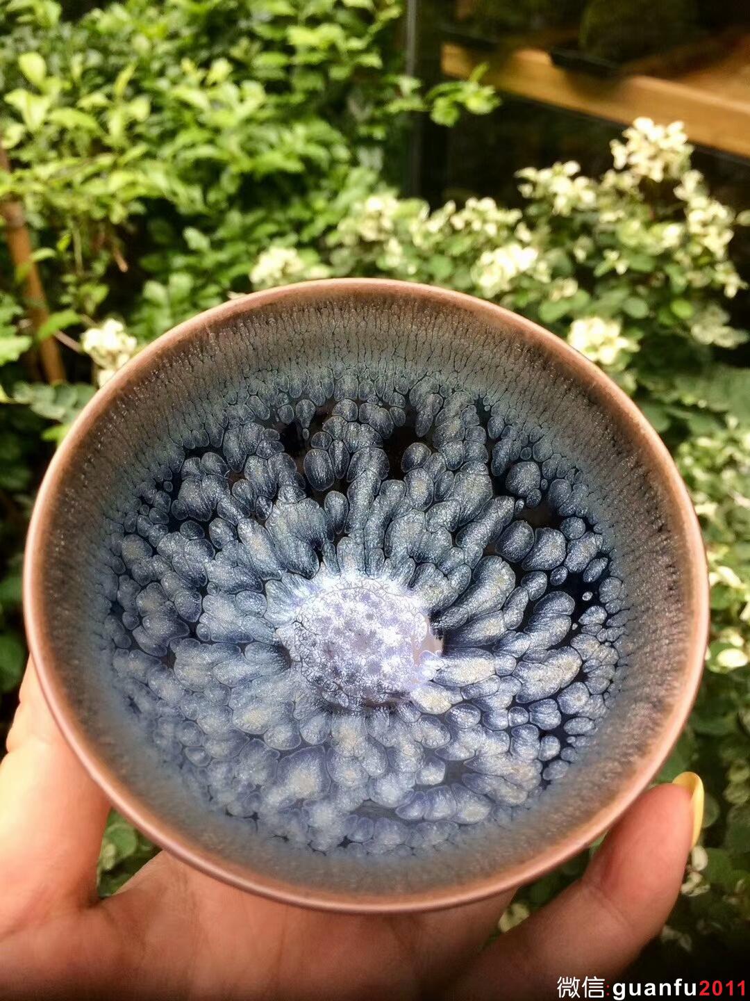 mmexport1513073702038