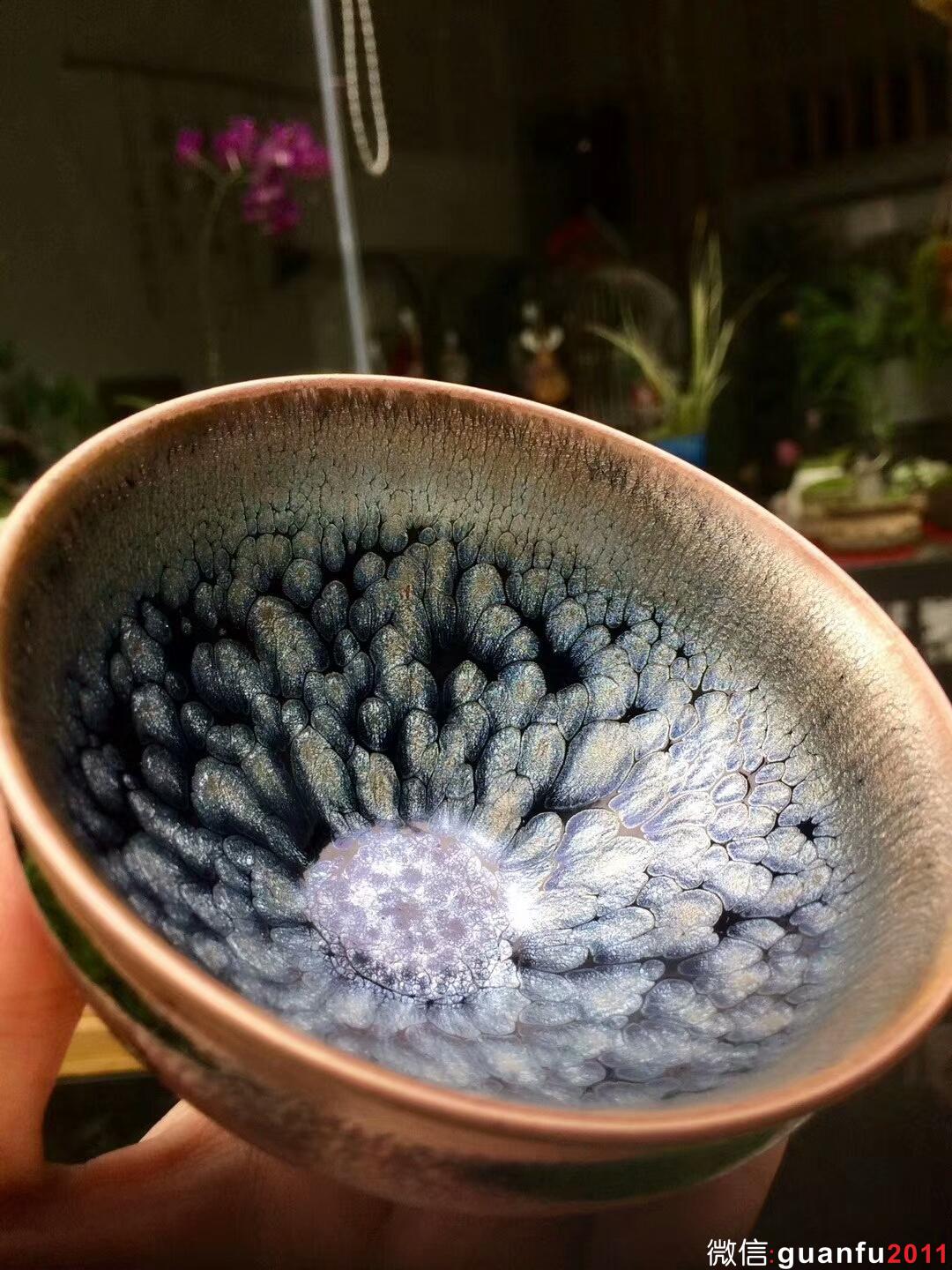 mmexport1513073705709