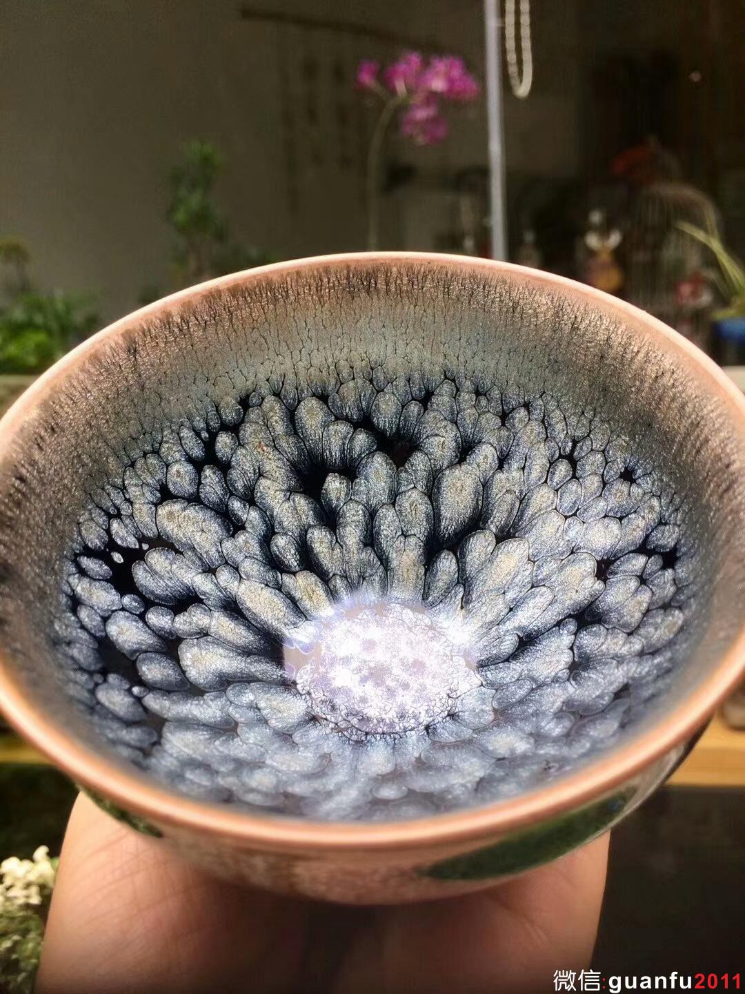 mmexport1513073690699