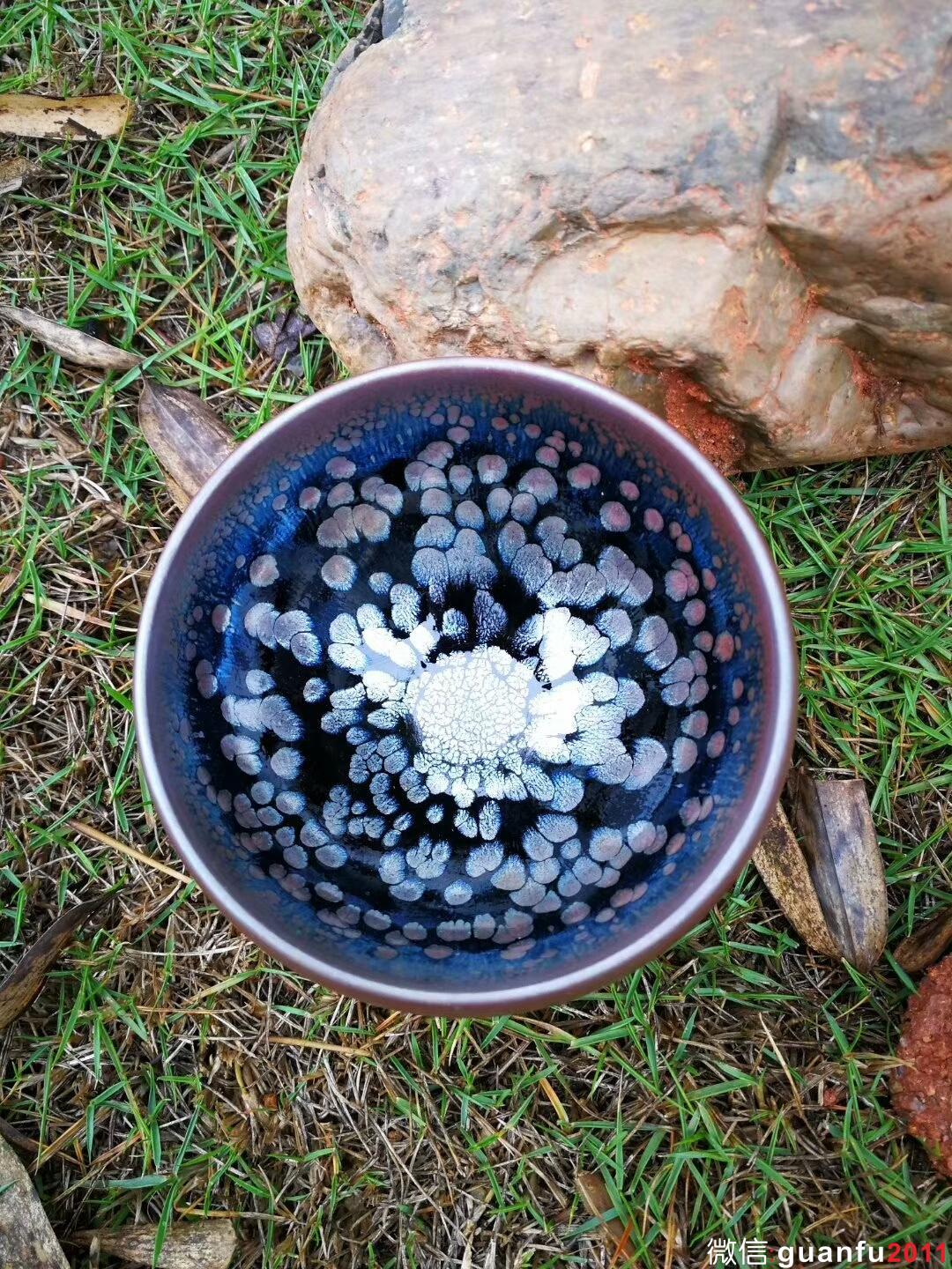 mmexport1513077064928