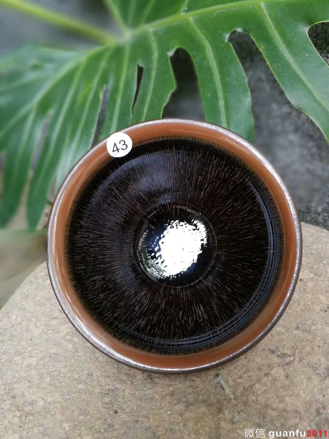 mmexport1513077563552