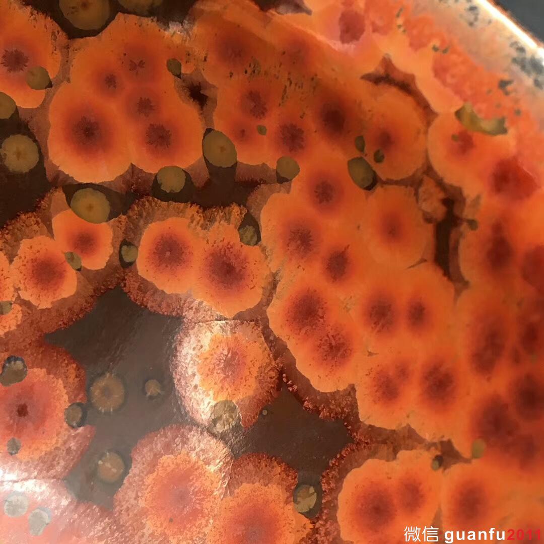 省級(jí)大師-蔡炳盛 精品火鳳凰：口徑9*5.5