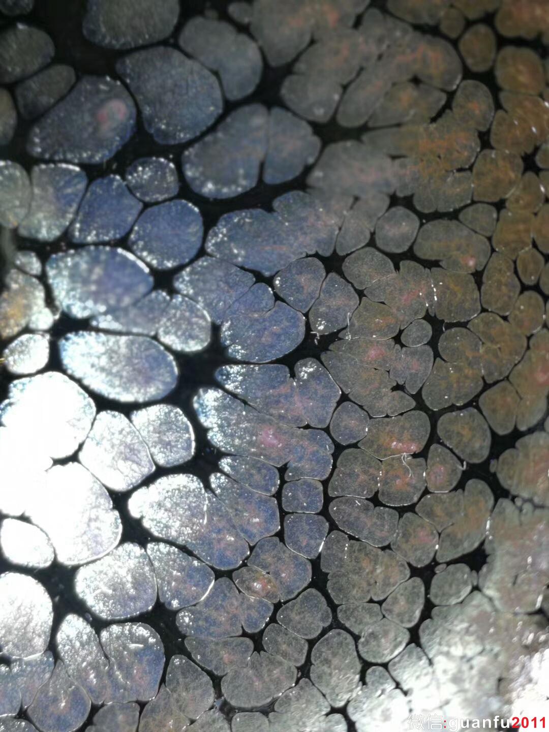 mmexport1515309280673