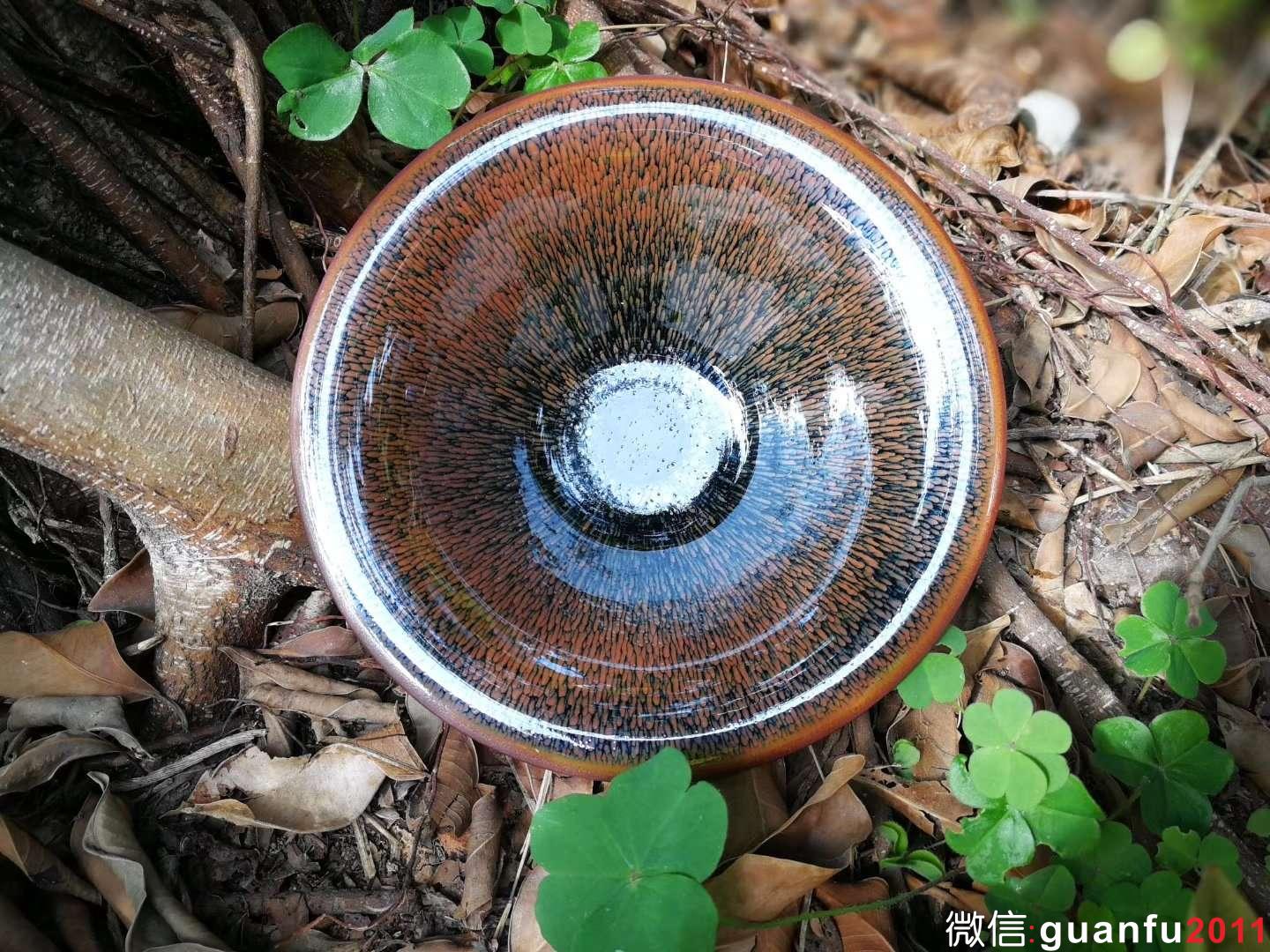 mmexport1515313817950