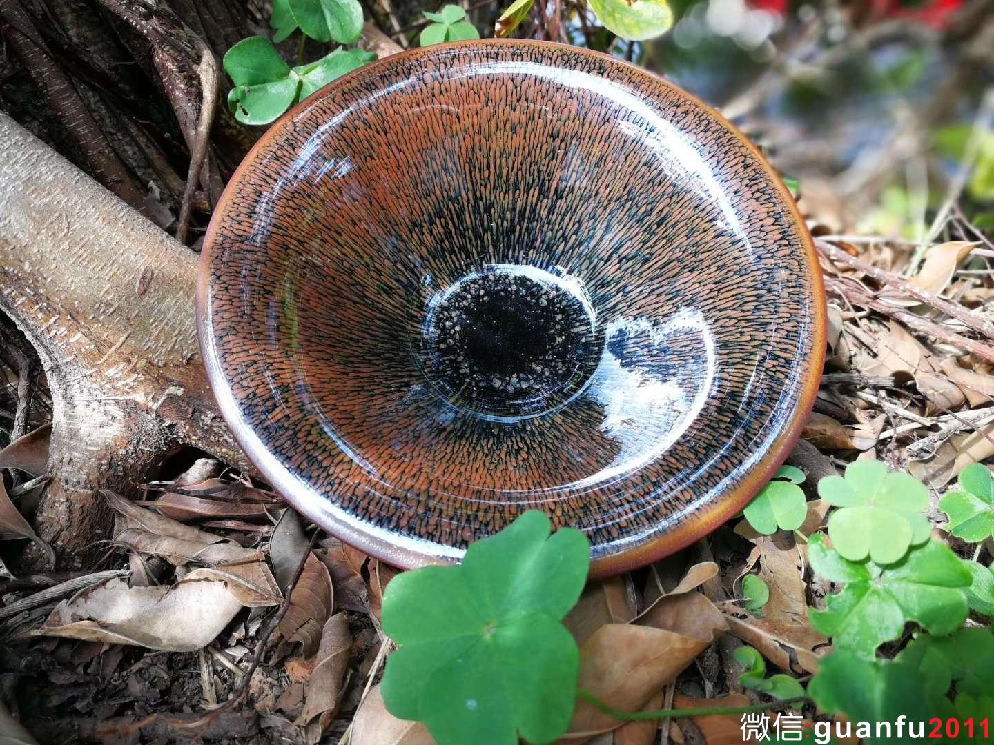 mmexport1515313820133