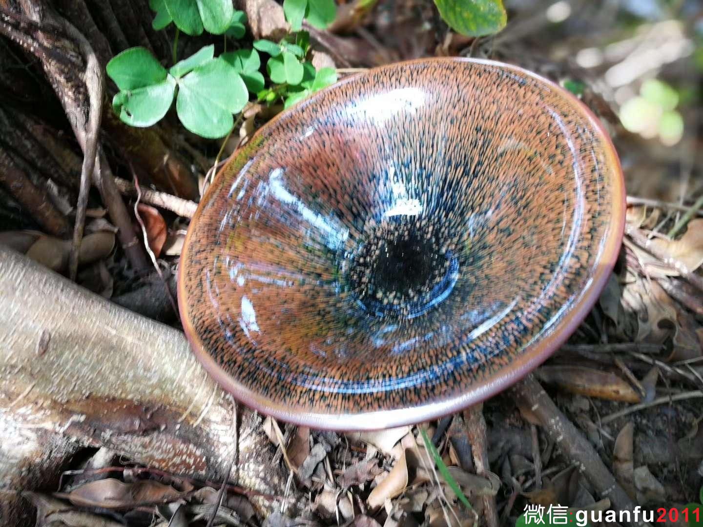 mmexport1515313824257