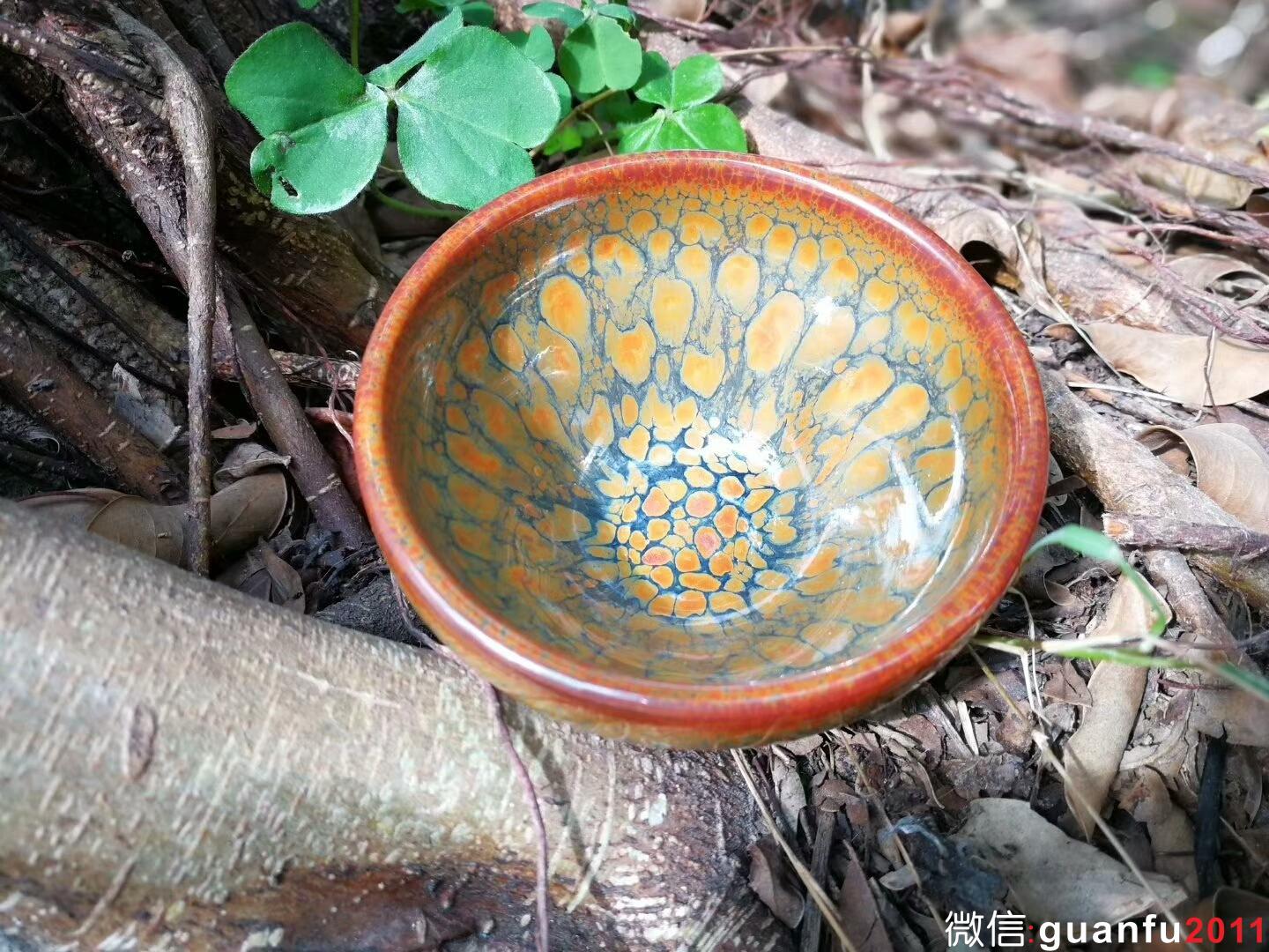 mmexport1515313899354