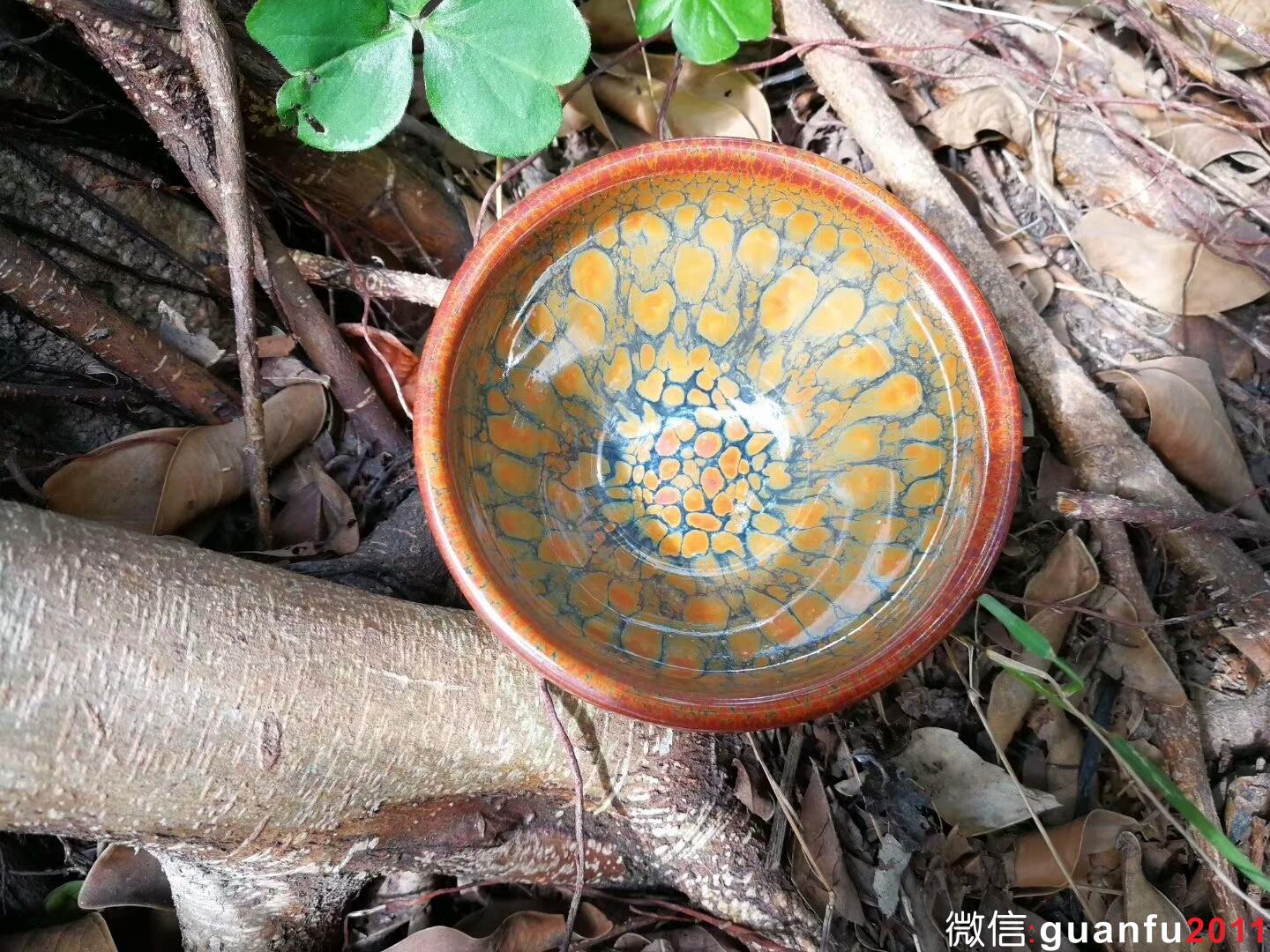 mmexport1515313903531