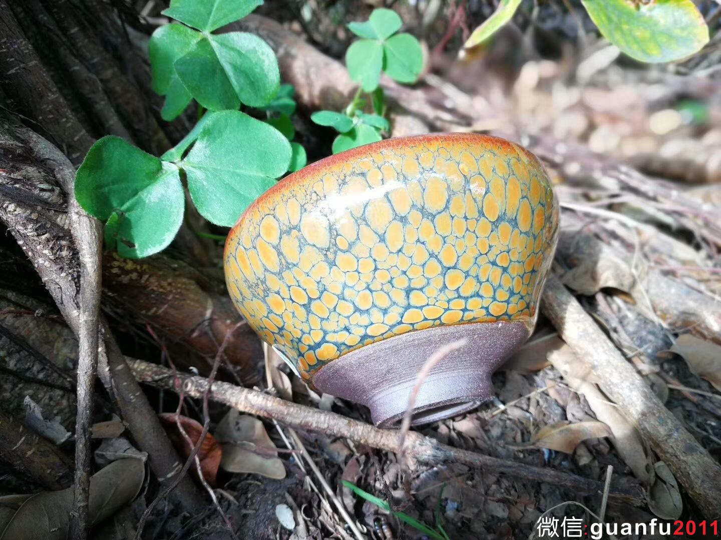 mmexport1515313906018