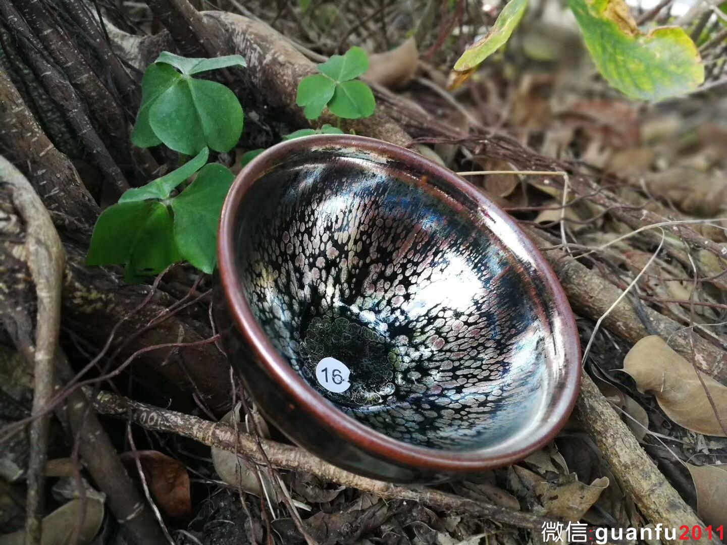 mmexport1515579571311