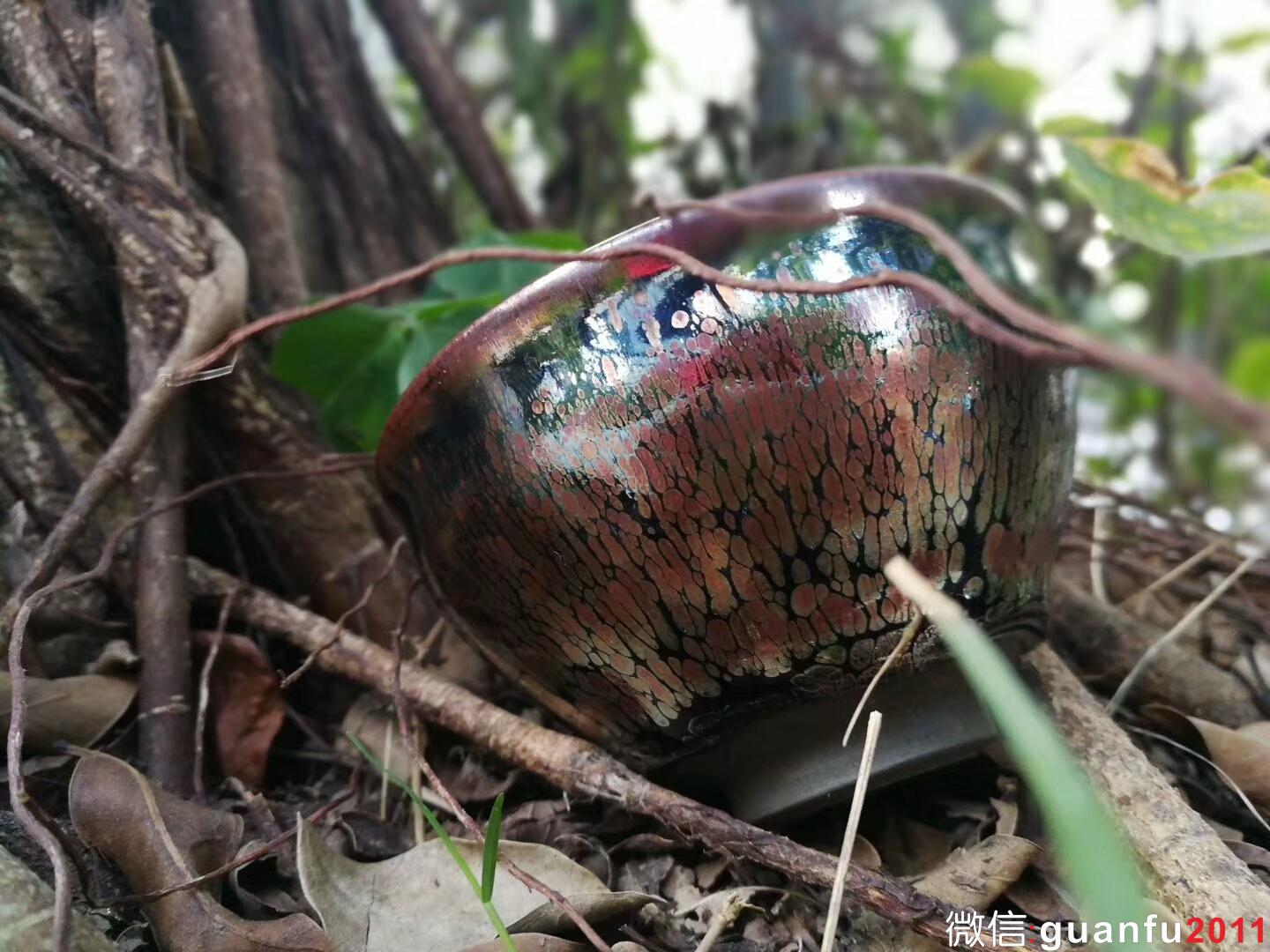 mmexport1515579589965