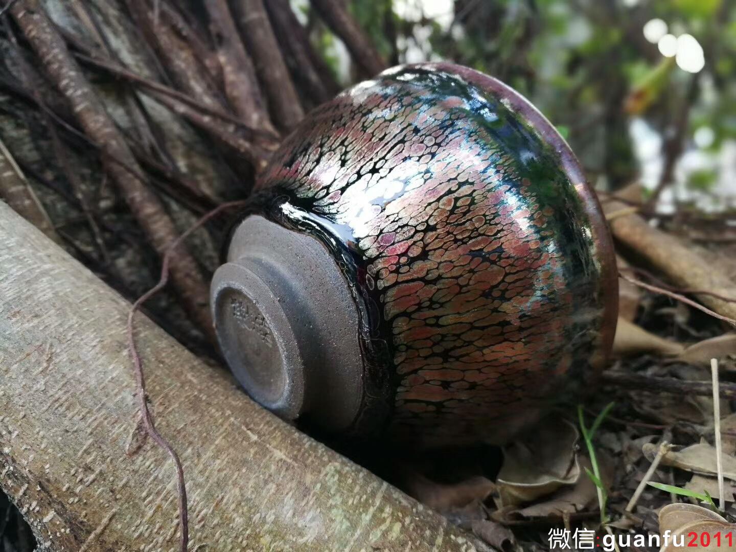 mmexport1515579595186