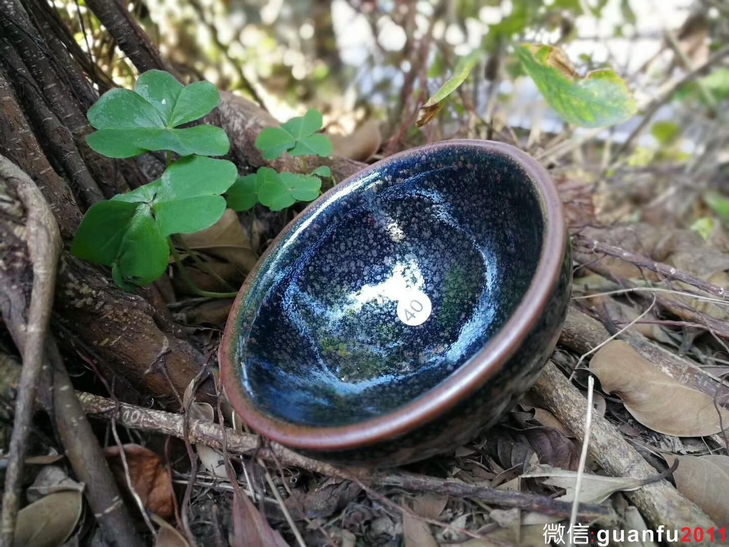 mmexport1515844263726