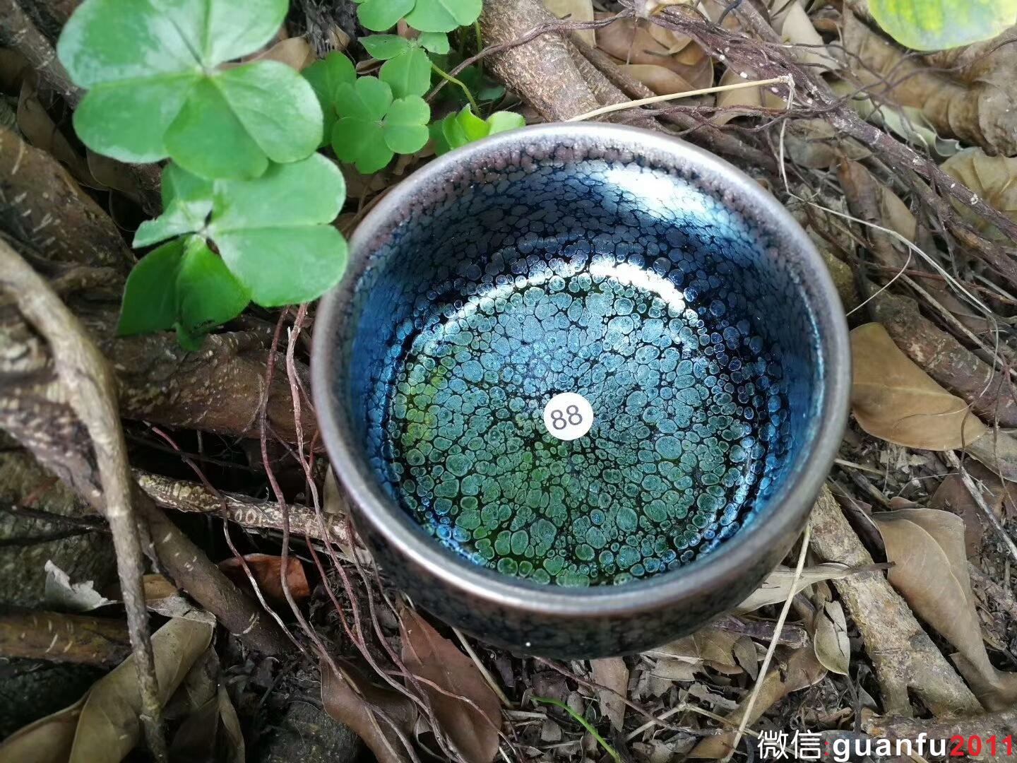 mmexport1516674472283