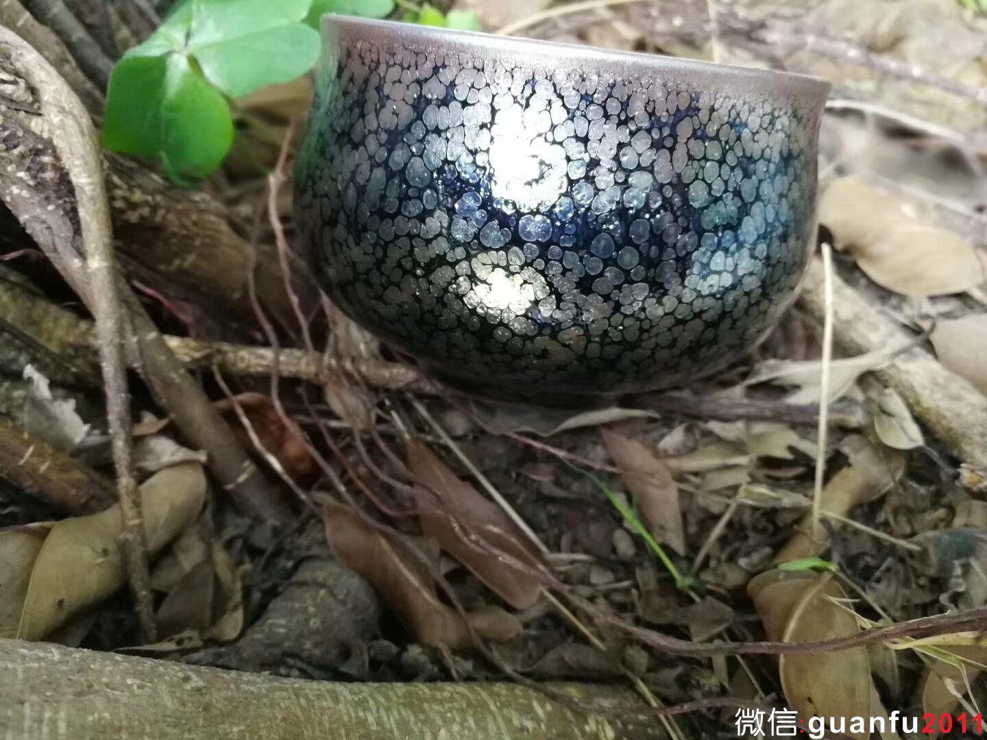 mmexport1516674479230